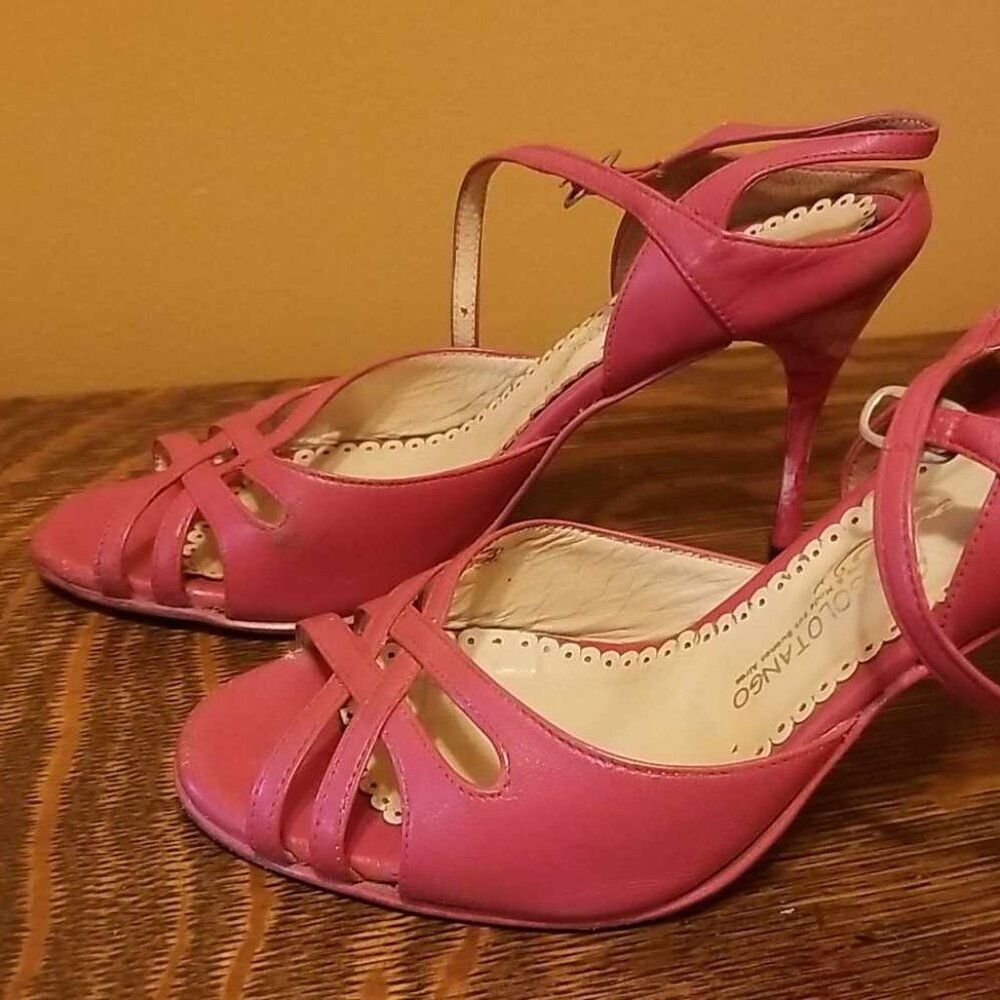 Pink Nosolotango Tango Shoes